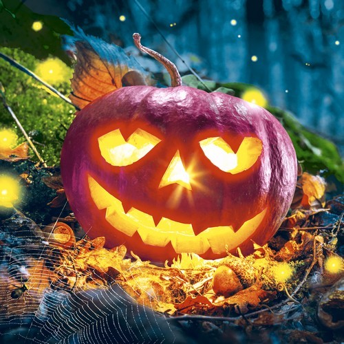 20 Servietten Pumpkin Night - Halloween-Kürbis bei Nacht 33x33cm