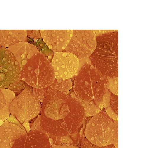 20 kleine Cocktailservietten Rainy Leaves - Regentropfen auf Herbstblätter 24x24cm