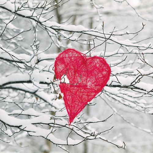 20 Servietten Heart in Tree - Herz im Winterbaum 33x33cm