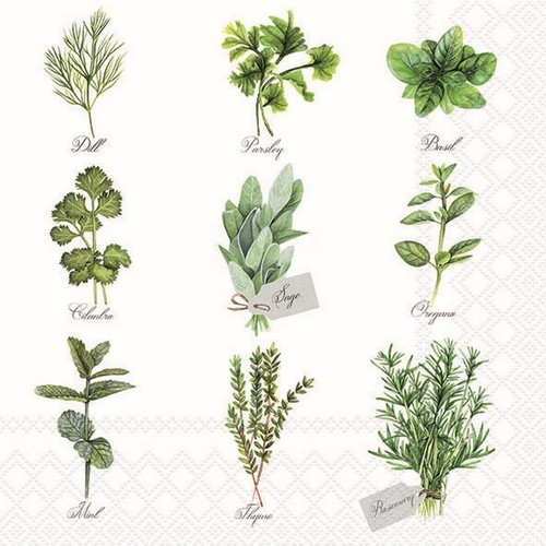 20 Herb Selection napkins - Herbs for the kitchen 33x33cm